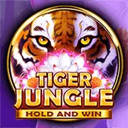 Cấp độ VIP Bạc bong99